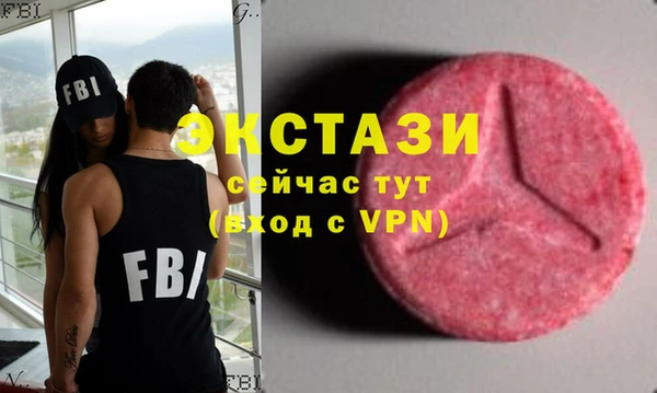 ECSTASY Алзамай