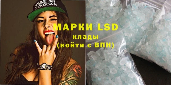 ECSTASY Алзамай