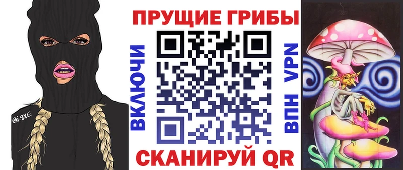 Псилоцибиновые грибы Cubensis  маркетплейс наркотические препараты  Льгов 